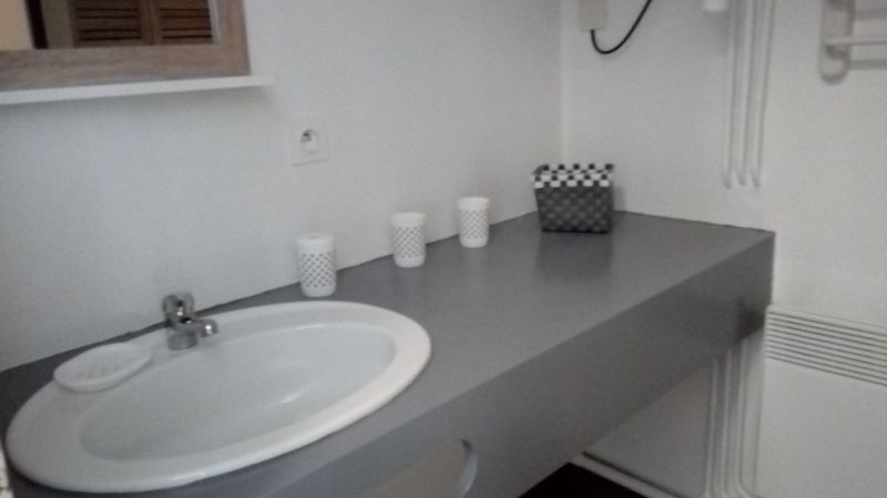 photo 15 Location entre particuliers Les Saisies studio Rhne-Alpes Savoie salle de bain