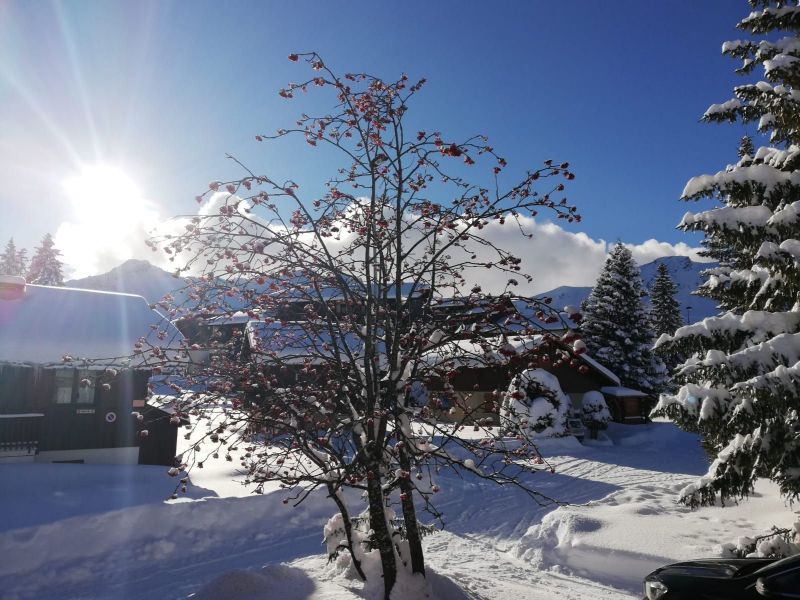 photo 1 Location entre particuliers Praz de Lys Sommand chalet Rhne-Alpes Haute-Savoie Vue  proximit