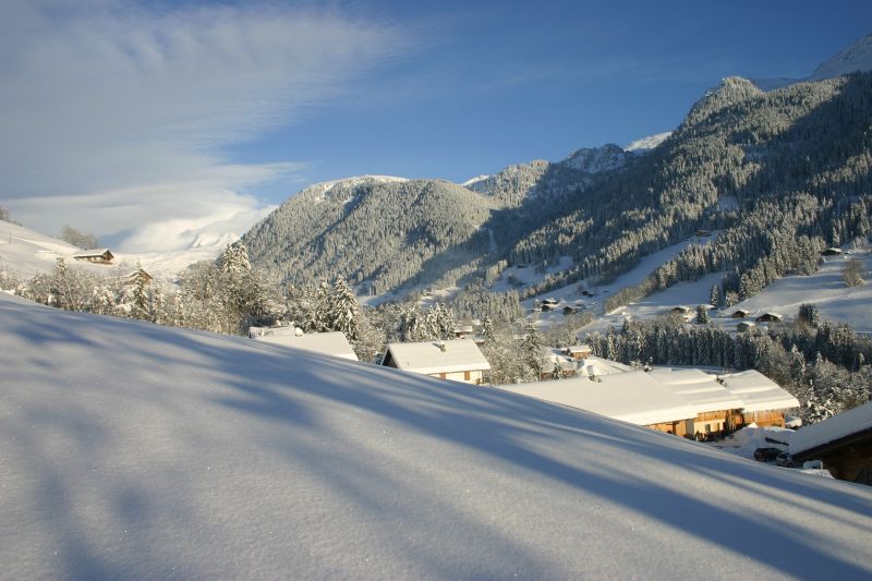 photo 15 Location entre particuliers Les Saisies appartement Rhne-Alpes Savoie