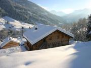Locations vacances Savoie pour 10 personnes: appartement n 2727