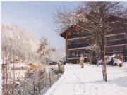 Locations station de ski Chtel: appartement n 27838