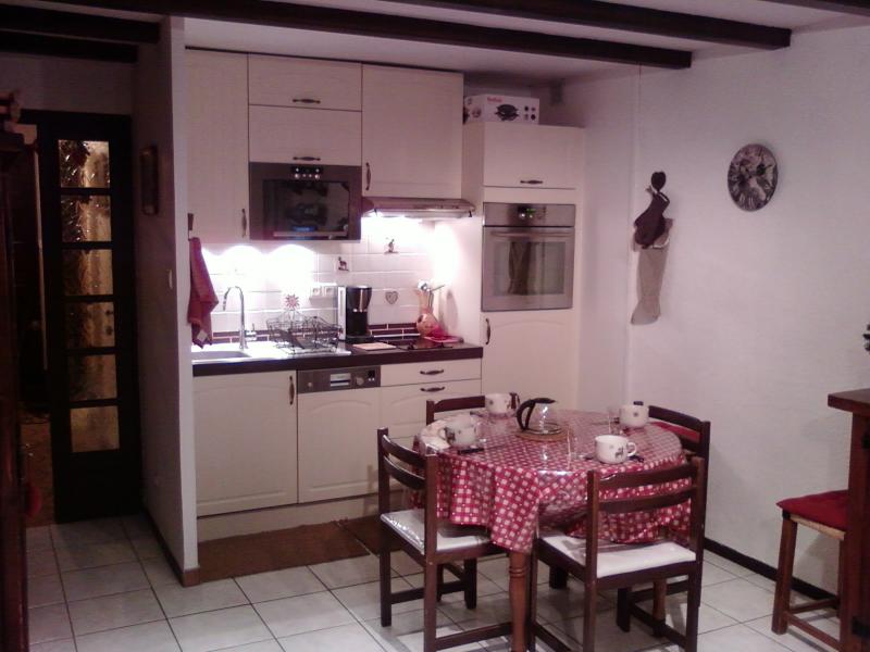 photo 1 Location entre particuliers Alpe d'Huez appartement Rhne-Alpes Isre Coin cuisine