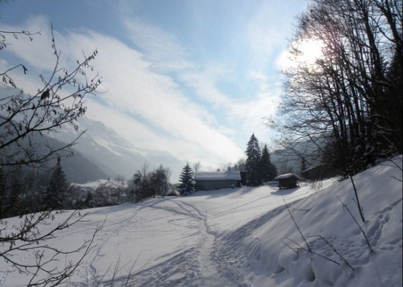 photo 25 Location entre particuliers Les Contamines Montjoie chalet Rhne-Alpes Haute-Savoie Vue  proximit