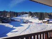 Locations station de ski: appartement n 28743