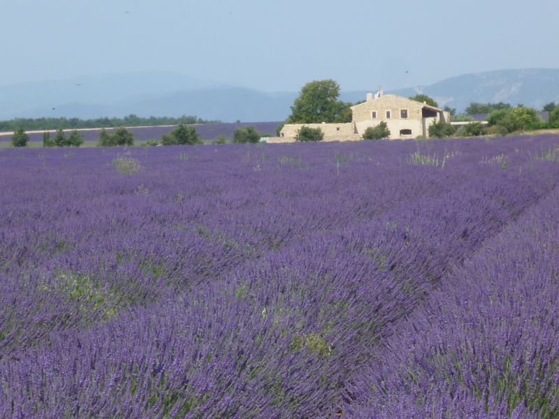 photo 19 Location entre particuliers Les Salles sur Verdon maison Provence-Alpes-Cte d'Azur Var