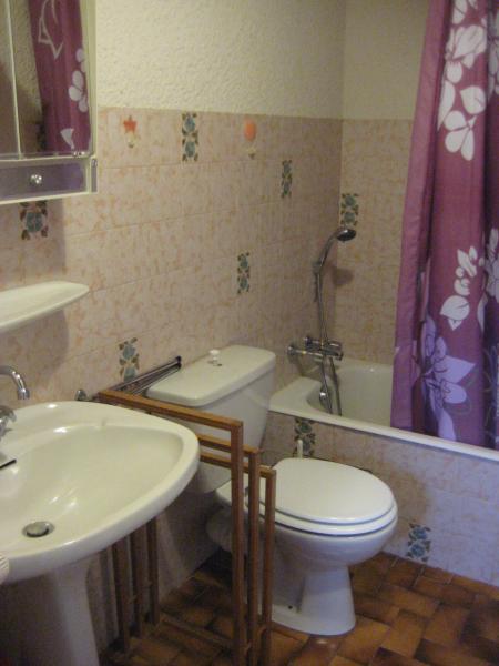 photo 8 Location entre particuliers Thollon Les Mmises appartement Rhne-Alpes Haute-Savoie salle de bain