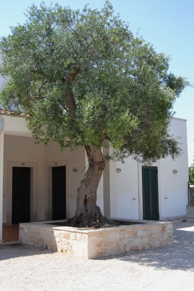 photo 9 Location entre particuliers Polignano a Mare appartement Pouilles Bari (province de) Entre