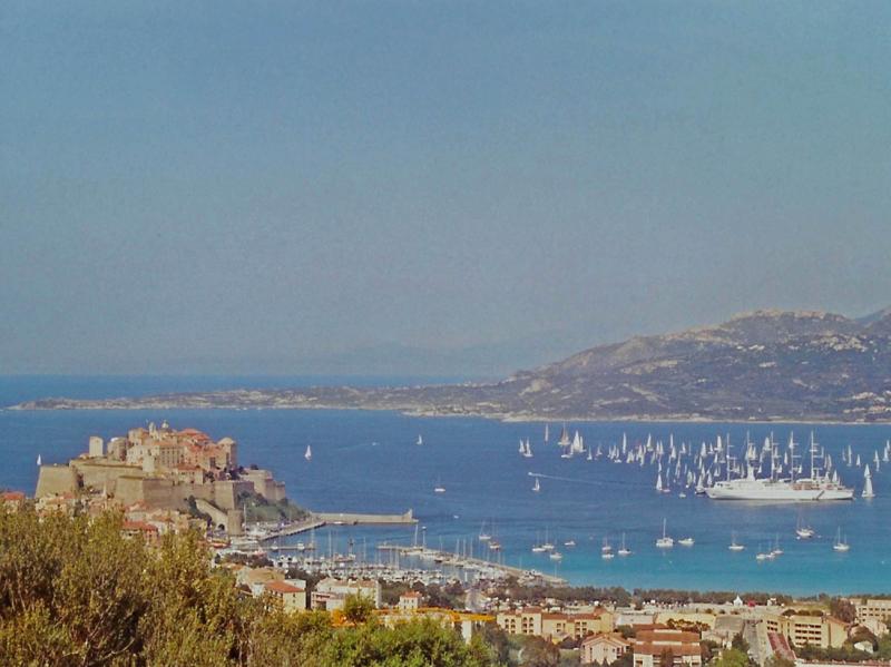 photo 2 Location entre particuliers Calvi appartement Corse Haute-Corse Vue depuis la location