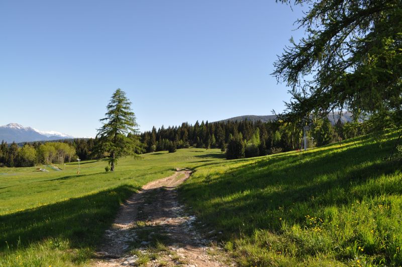 photo 20 Location entre particuliers Coredo appartement Trentin-Haut-Adige Trente (province de) Vue autre