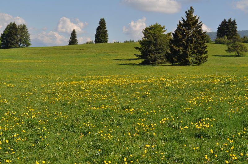 photo 22 Location entre particuliers Coredo appartement Trentin-Haut-Adige Trente (province de) Vue  proximit