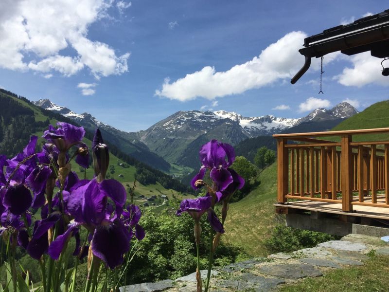 photo 2 Location entre particuliers Areches Beaufort chalet Rhne-Alpes Savoie Vue depuis la location