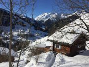 Locations vacances Rhne-Alpes pour 7 personnes: chalet n 358