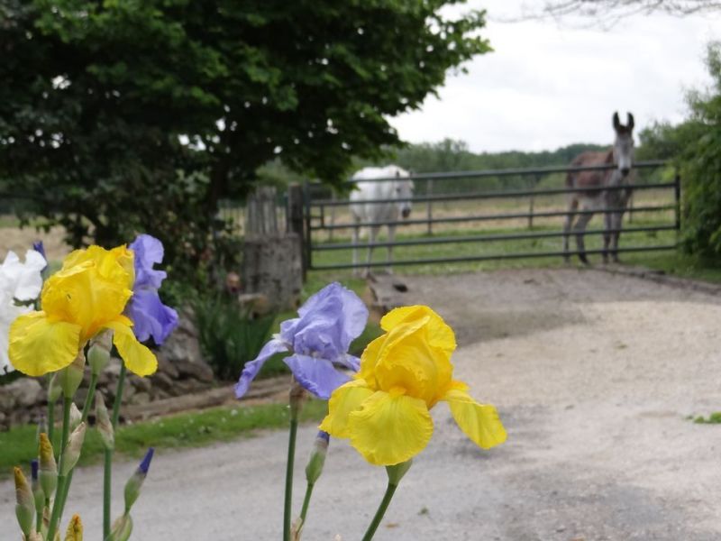 photo 15 Location entre particuliers Bergerac gite Aquitaine Dordogne Vue depuis la location