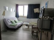 Locations station de ski Puy-De-Dme: appartement n 3795