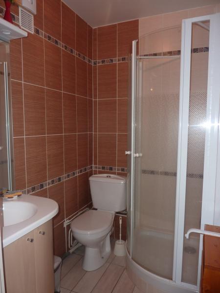 photo 11 Location entre particuliers Besse - Super Besse appartement Auvergne Puy-de-Dme salle de bain