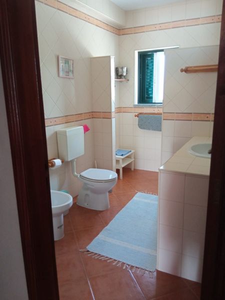photo 9 Location entre particuliers Nisa villa Alentejo  salle de bain 1