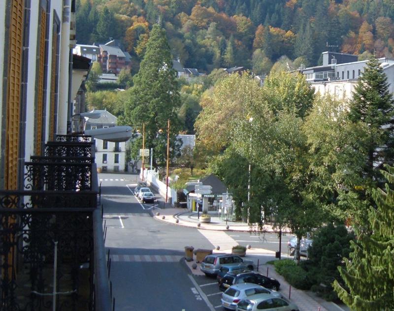 photo 2 Location entre particuliers Le Mont Dore appartement Auvergne Puy-de-Dme Vue du balcon