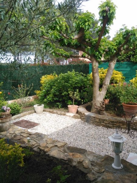 photo 11 Location entre particuliers Le Castellet bungalow Provence-Alpes-Cte d'Azur Var Jardin