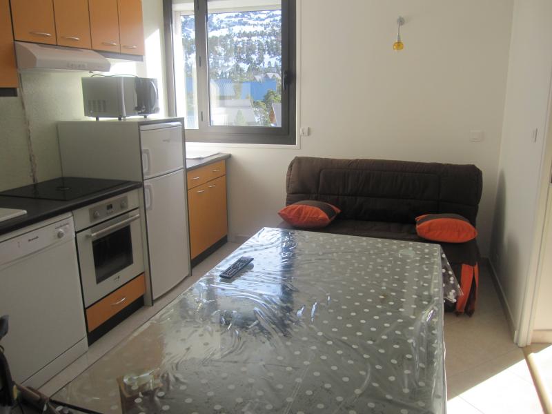 photo 1 Location entre particuliers Arette La Pierre Saint Martin appartement Aquitaine Pyrnes-Atlantiques Sjour