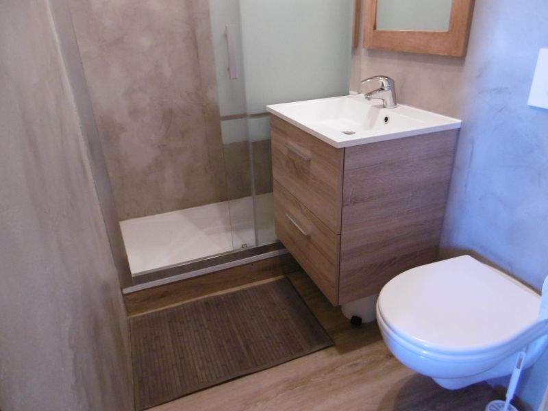 photo 15 Location entre particuliers Avoriaz studio Rhne-Alpes Haute-Savoie salle de bain