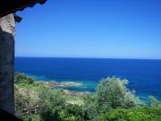 Locations vacances Corse Du Sud: maison n 40911