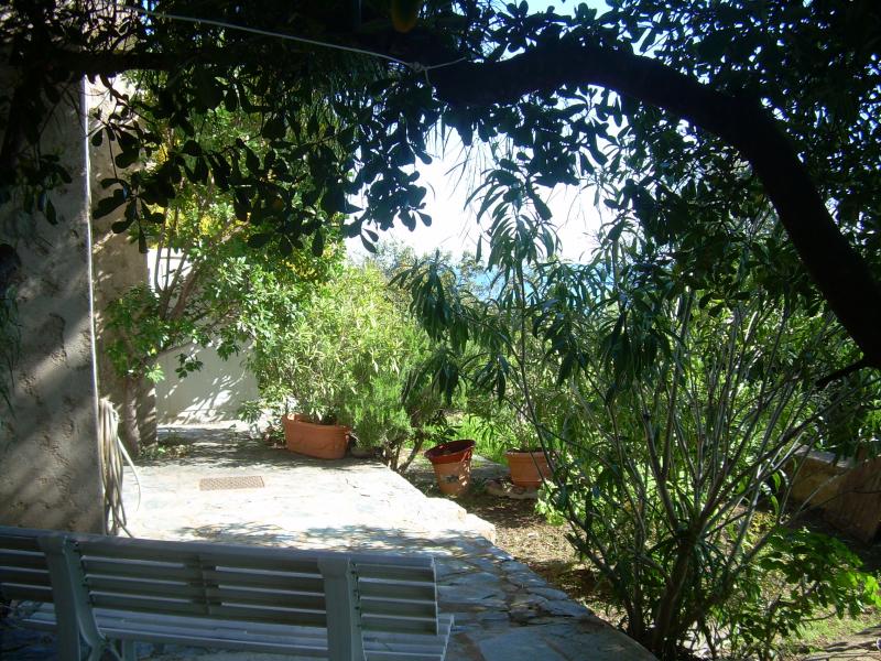 photo 6 Location entre particuliers Ste Lucie de Porto Vecchio maison Corse Corse du Sud Terrasse 2