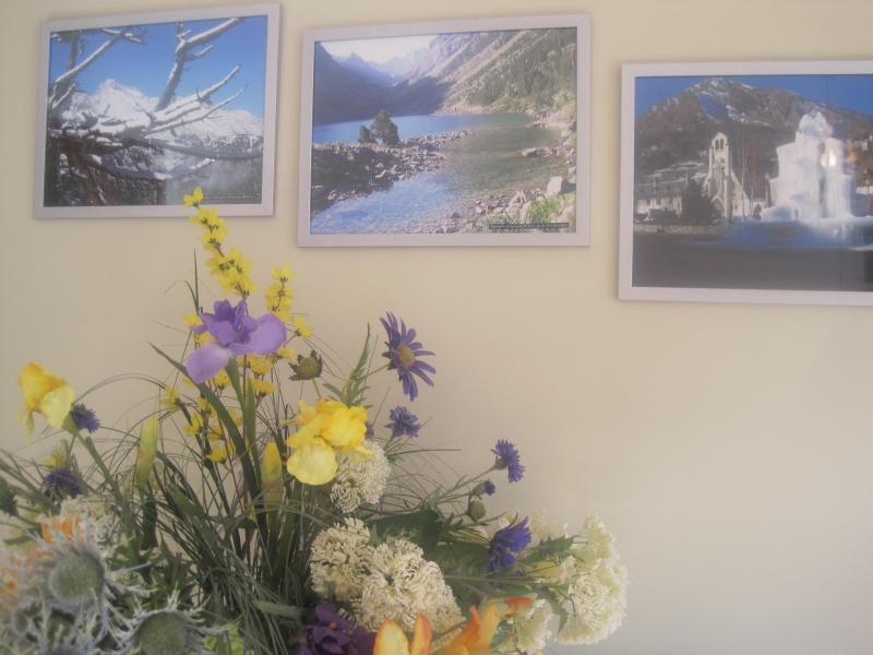 photo 6 Location entre particuliers Saint Lary Soulan appartement Midi-Pyrnes Hautes-Pyrnes Salon