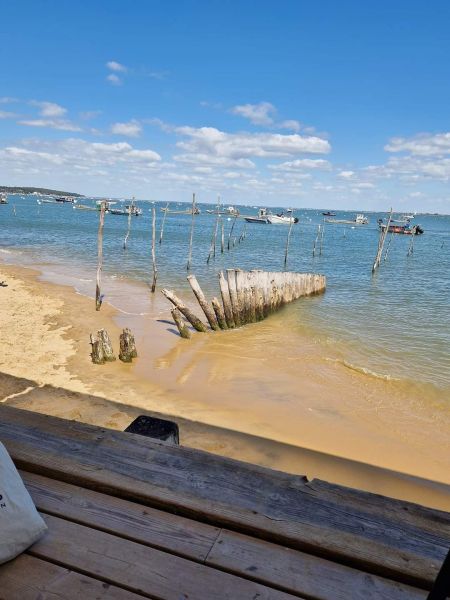 photo 29 Location entre particuliers Andernos les Bains maison Aquitaine Gironde Plage