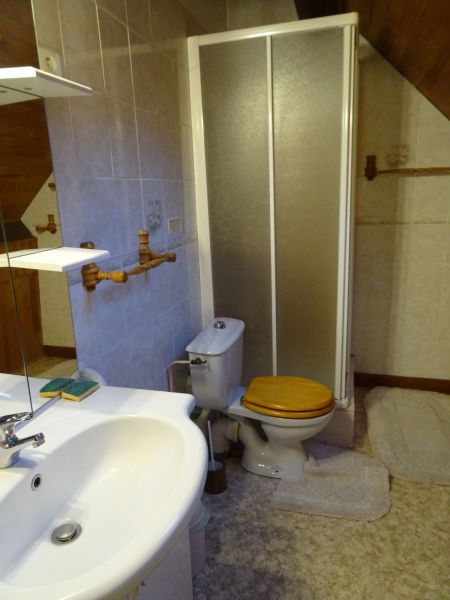 photo 6 Location entre particuliers Saint Lary Soulan appartement Midi-Pyrnes Hautes-Pyrnes salle de bain