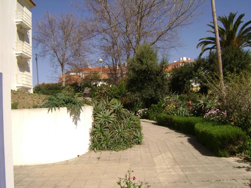 photo 8 Location entre particuliers Vila nova de Milfontes appartement Alentejo  Jardin