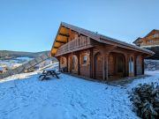 Locations vacances: chalet n 4579