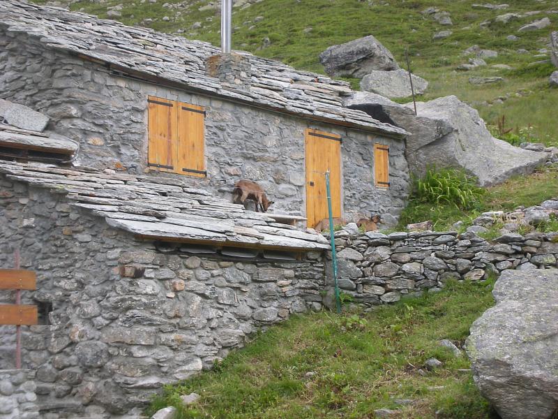 photo 18 Location entre particuliers Bonneval sur Arc studio Rhne-Alpes Savoie Vue autre