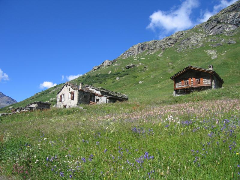 photo 21 Location entre particuliers Bonneval sur Arc studio Rhne-Alpes Savoie Vue autre