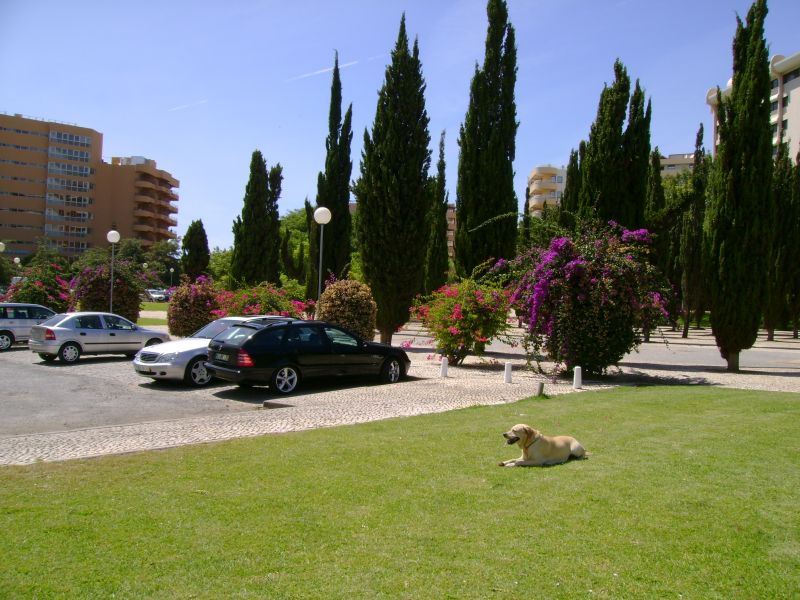 photo 18 Location entre particuliers Vilamoura appartement Algarve  Vue  proximit