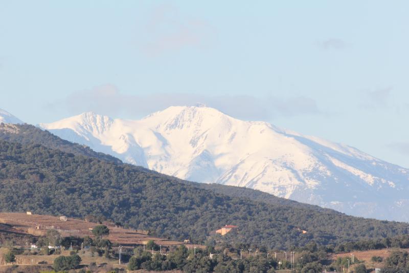 photo 14 Location entre particuliers Collioure appartement Languedoc-Roussillon Pyrnes-Orientales Vue depuis la location