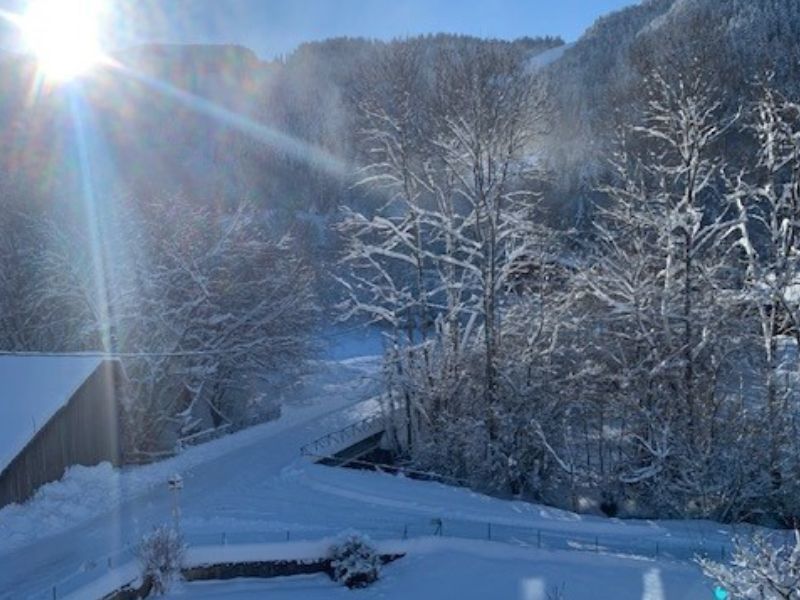 photo 0 Location entre particuliers Bernex appartement Rhne-Alpes Haute-Savoie Vue depuis la location