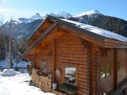 Locations vacances Savoie pour 9 personnes: chalet n 49981