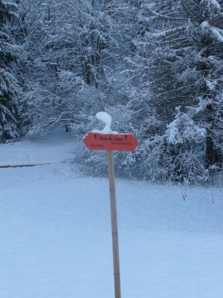 photo 14 Location entre particuliers Chtel appartement Rhne-Alpes Haute-Savoie Vue du balcon