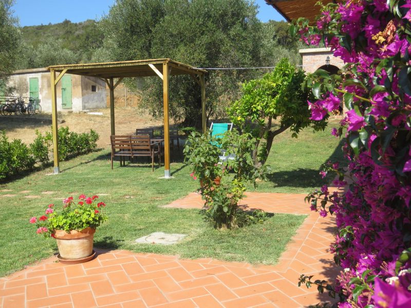 photo 7 Location entre particuliers Castiglione della Pescaia maison Toscane Grosseto (province de) Jardin