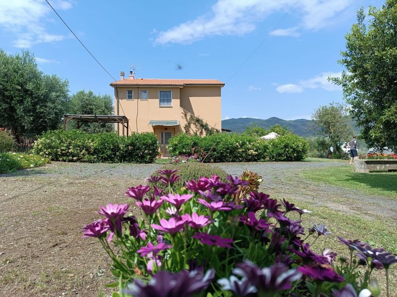 photo 1 Location entre particuliers Castiglione della Pescaia maison Toscane Grosseto (province de) Jardin
