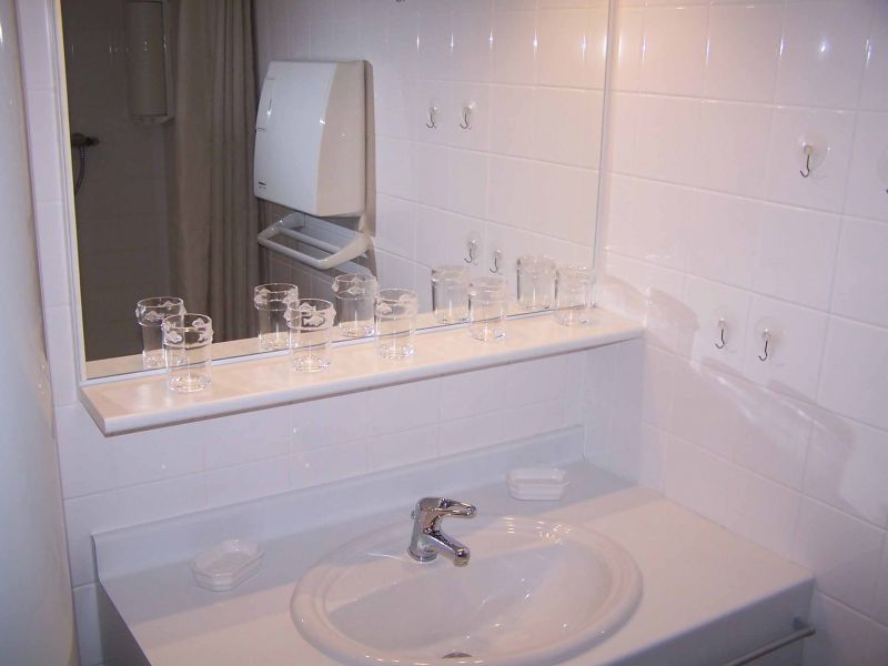 photo 10 Location entre particuliers Grardmer appartement Lorraine Vosges salle de bain