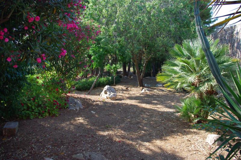 photo 11 Location entre particuliers Custonaci maison Sicile Trapani (province de) Jardin