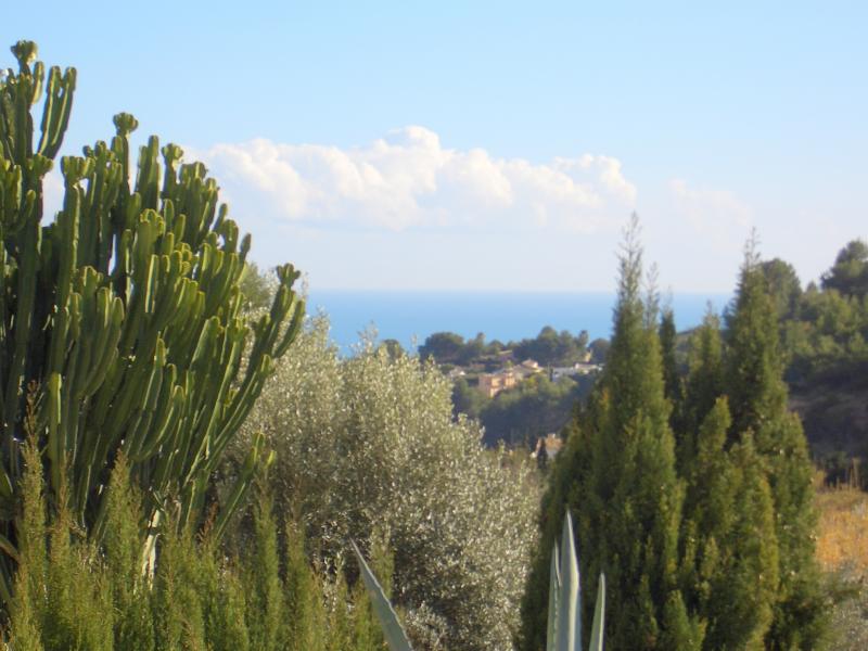 photo 9 Location entre particuliers Benissa villa Communaut Valencienne Alicante (province de) Vue de la terrasse