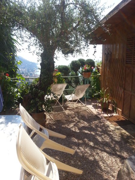 photo 5 Location entre particuliers Menton gite Provence-Alpes-Cte d'Azur Alpes-Maritimes Cour