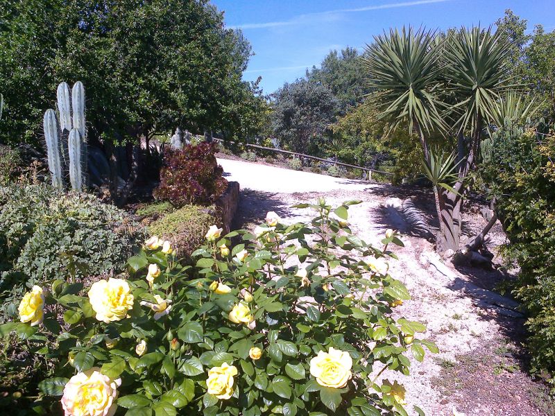 photo 10 Location entre particuliers Loul maison Algarve  Jardin