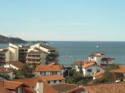 Locations vacances Cte Basque pour 3 personnes: appartement n 54924