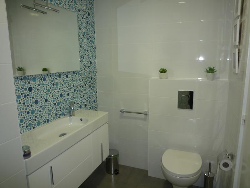 photo 13 Location entre particuliers Dnia appartement Communaut Valencienne Alicante (province de) salle de bain