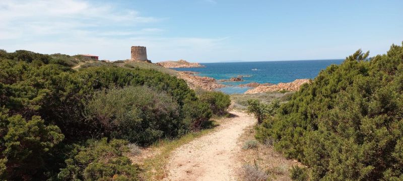 photo 25 Location entre particuliers Isola Rossa studio Sardaigne Olbia Tempio (province de) Vue autre