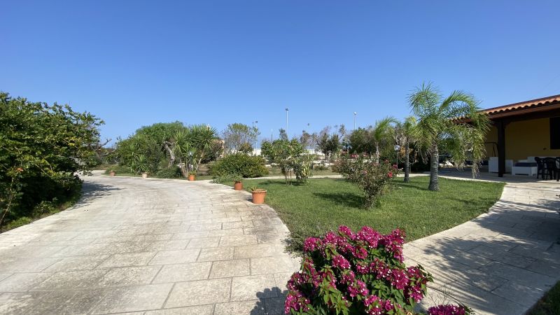 photo 21 Location entre particuliers Lecce villa Pouilles Lecce (province de) Jardin