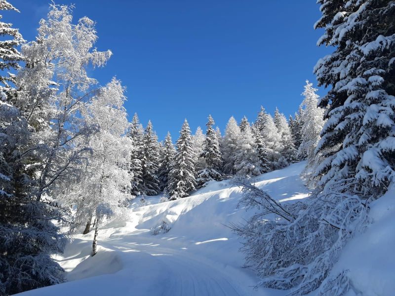 photo 21 Location entre particuliers Les Arcs appartement Rhne-Alpes Savoie Vue autre